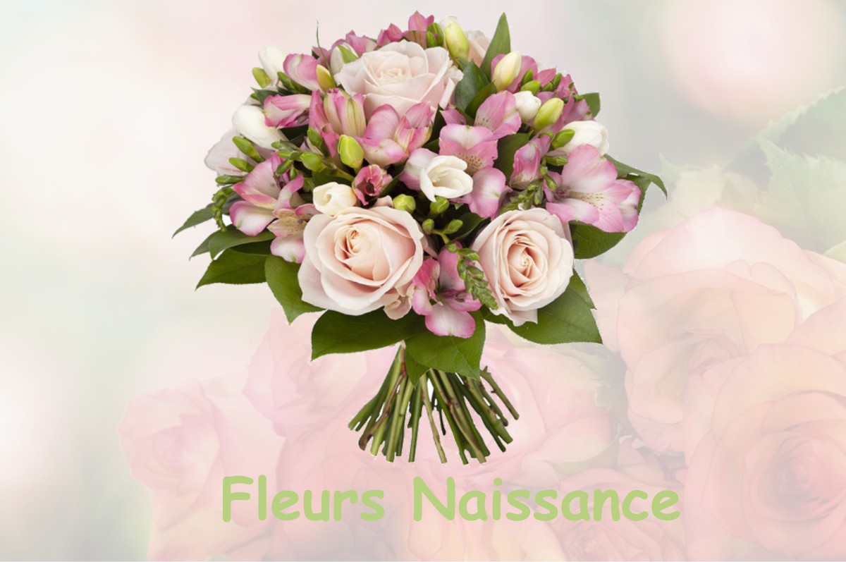 fleurs naissance ROUFFIGNAC-SAINT-CERNIN-DE-REILHAC